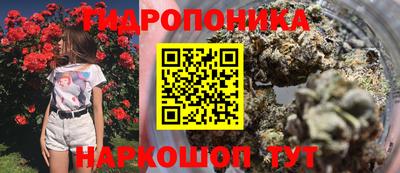 дмт Пушкино