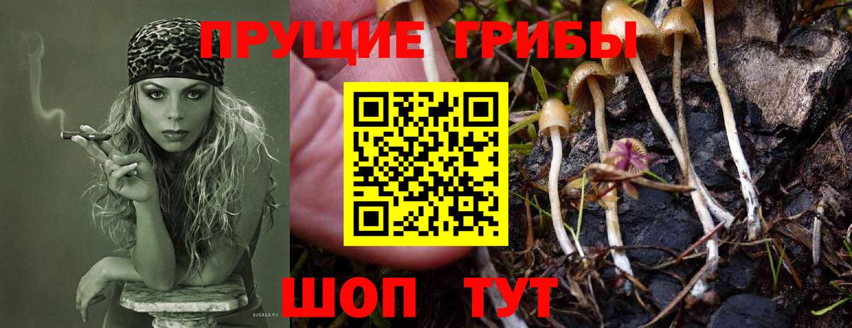 Галлюциногенные грибы Magic Shrooms Павлово