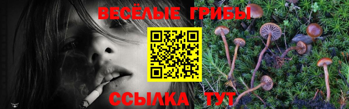 ГАШ Павлово