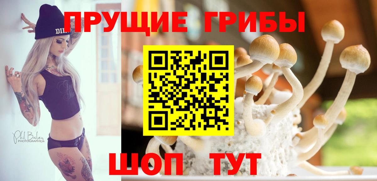 Павлово  Псилоцибиновые грибы Psilocybine cubensis  Вход с VPN  Псилоцибиновые грибы прущие грибы 