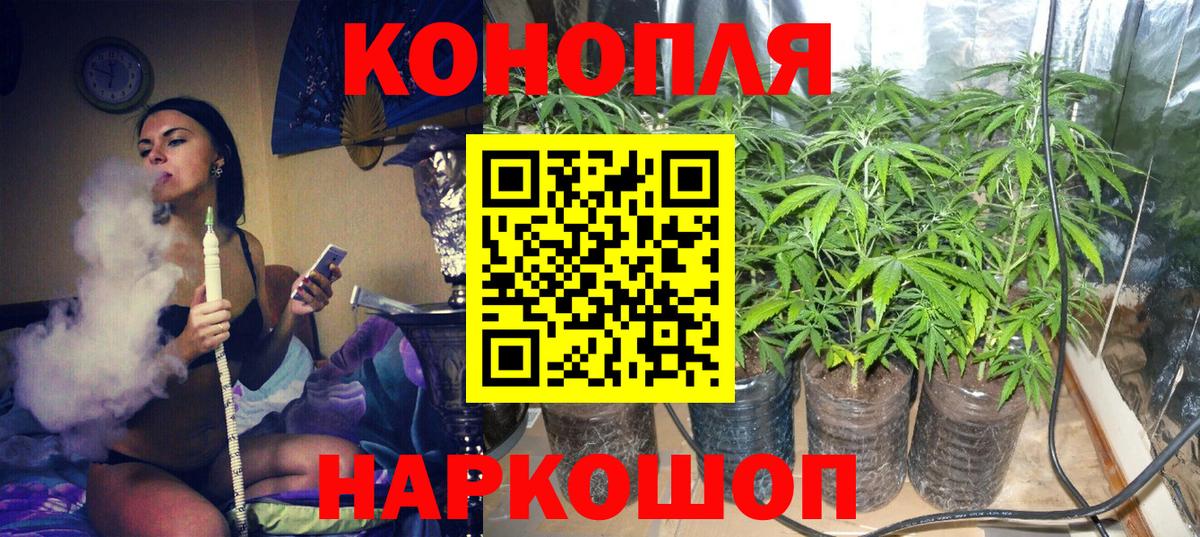 Марихуана план Павлово
